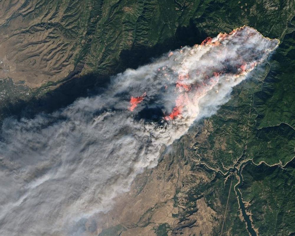 California Fire Close Up