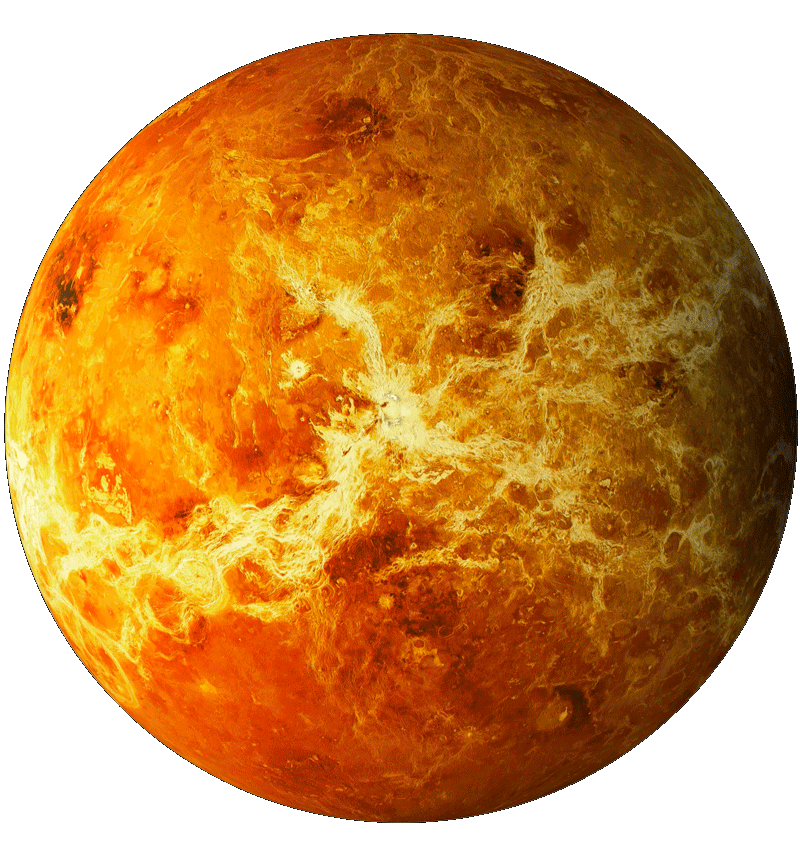 Xplore | Venus Xpeditions