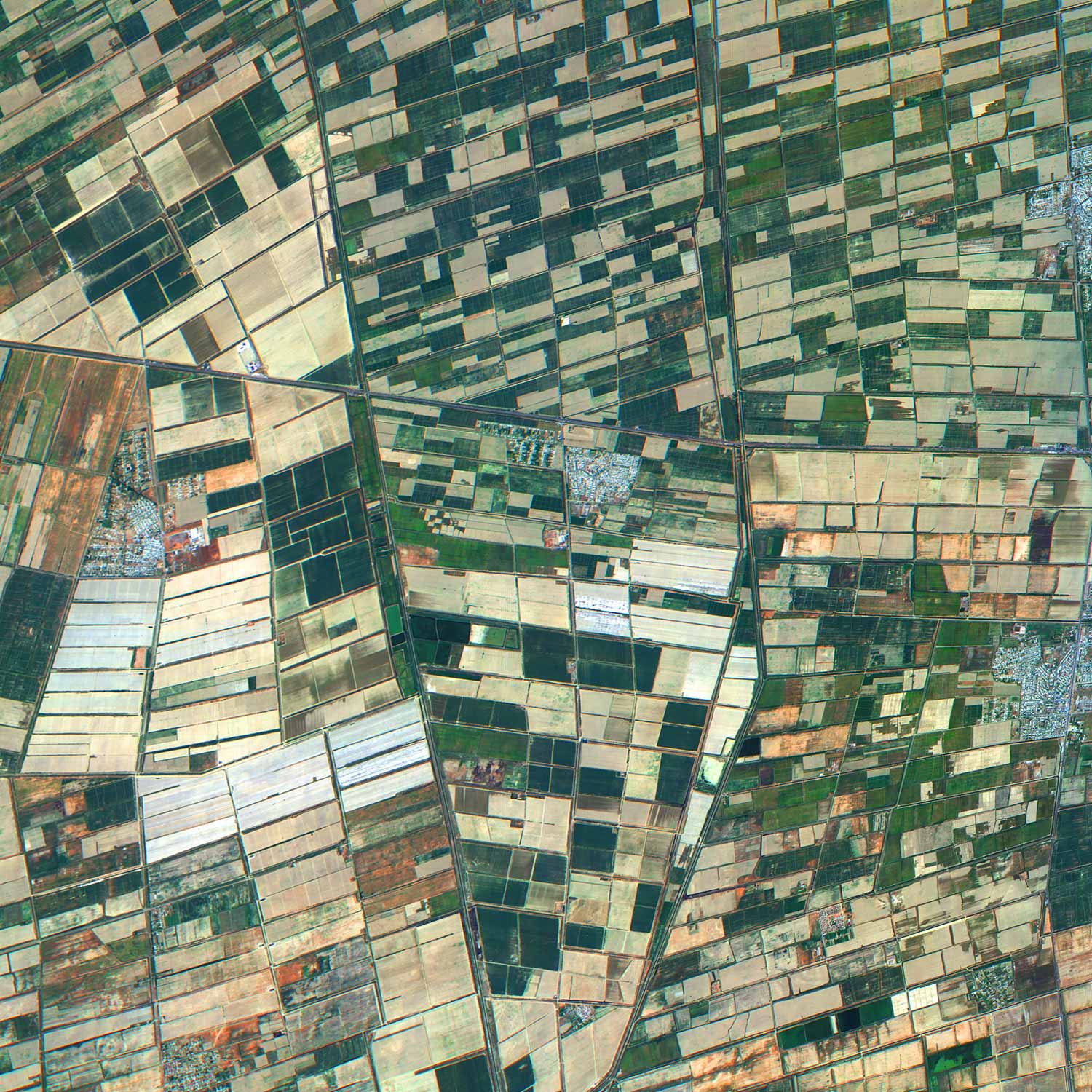Xplore Hyperspectral satellite image of farmland in Uzbekistan
